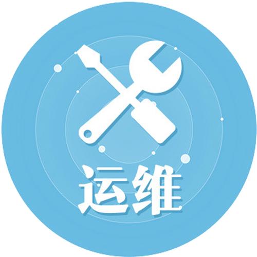 IT駐場服務(wù) 全球500強(qiáng)企業(yè)的嵌入式技術(shù)支持與創(chuàng)新驅(qū)動